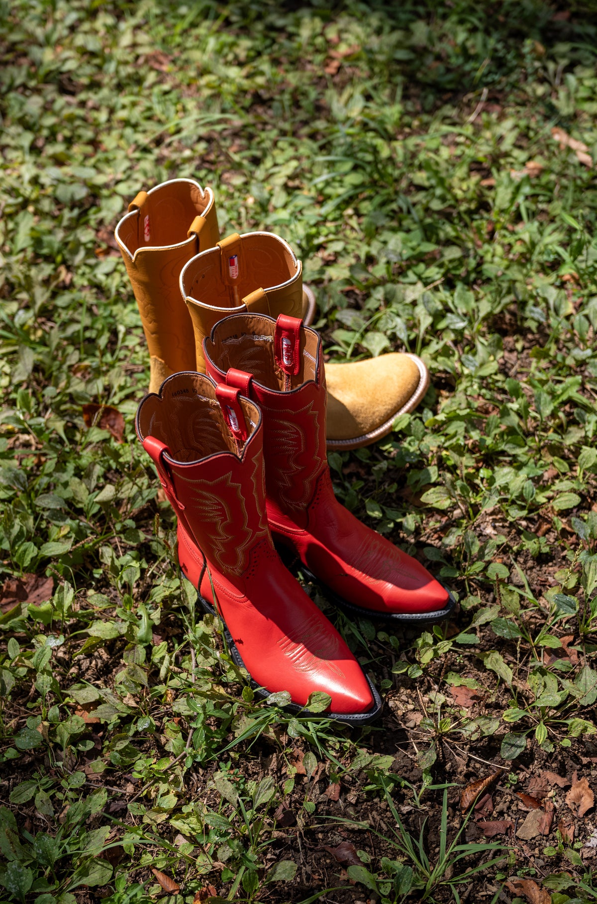 Cassidy Red 〈RED〉