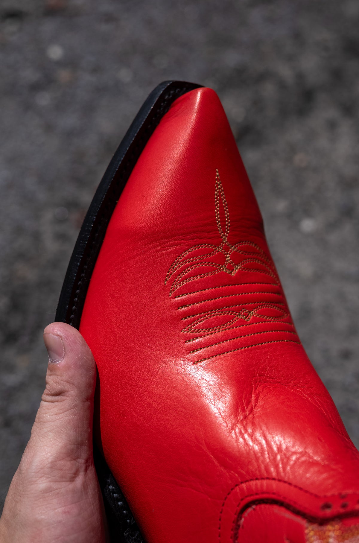 Cassidy Red 〈RED〉