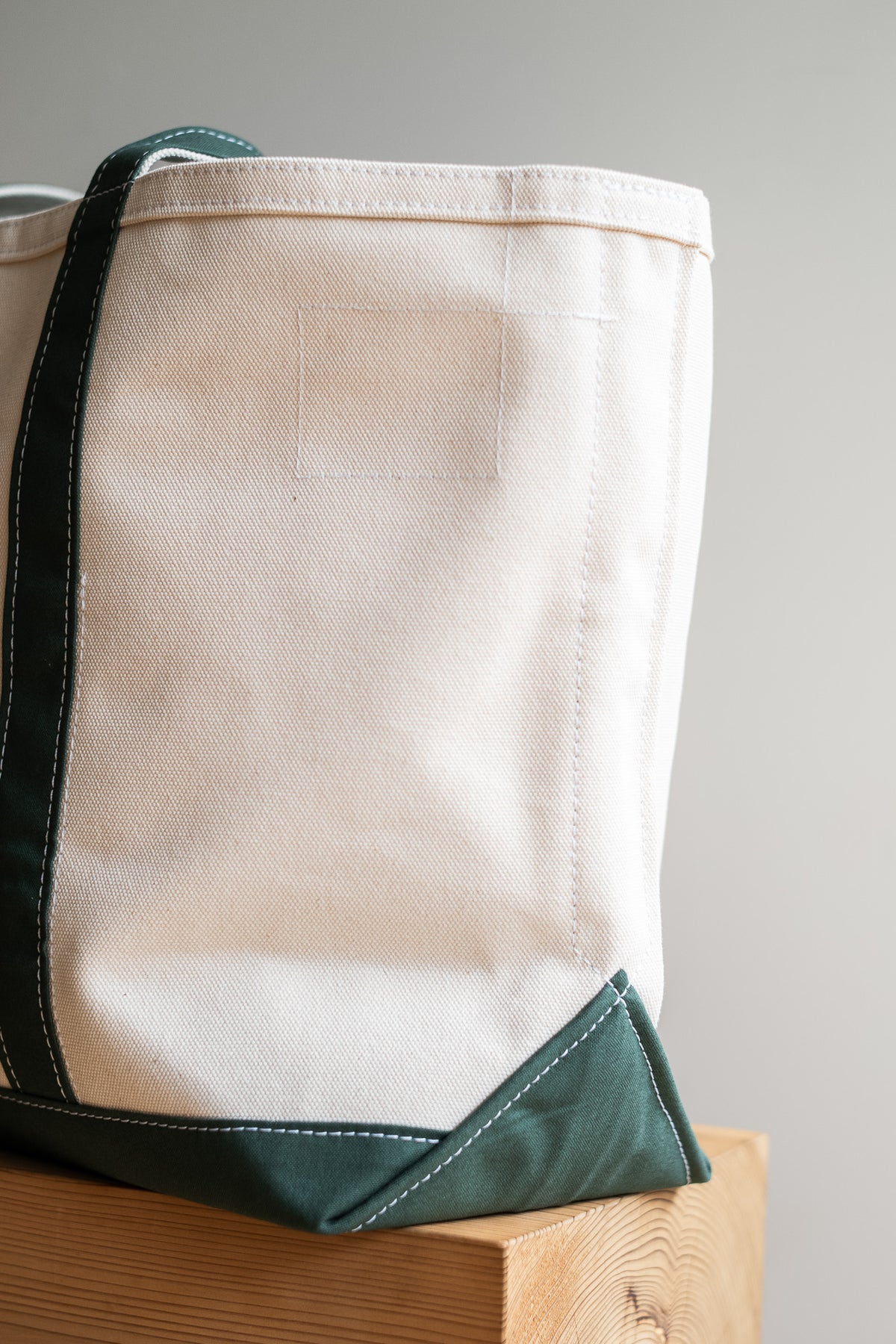Enough Space Bag - LARGE 〈NATURAL × GREEN〉